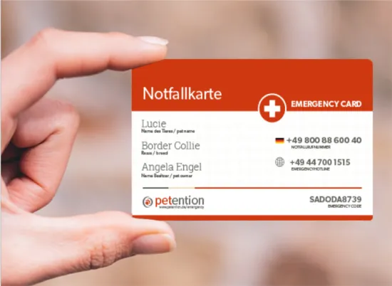 Person Holding Emergency card